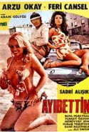 Ayıpettin Şemsettin erotik izle