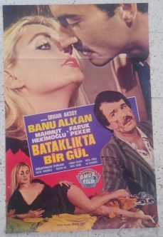 Bataklıkta Bir Gül İzle