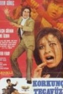 Korkunç Tecavüz erotik film izle