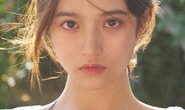Wei Wenqing